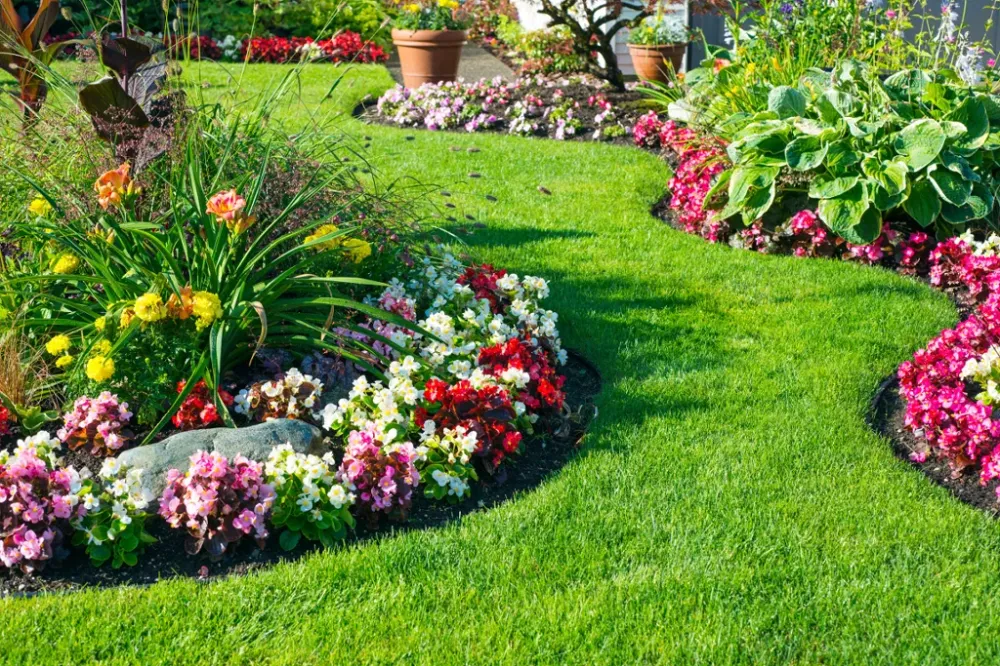 Création de jardin près de Libin