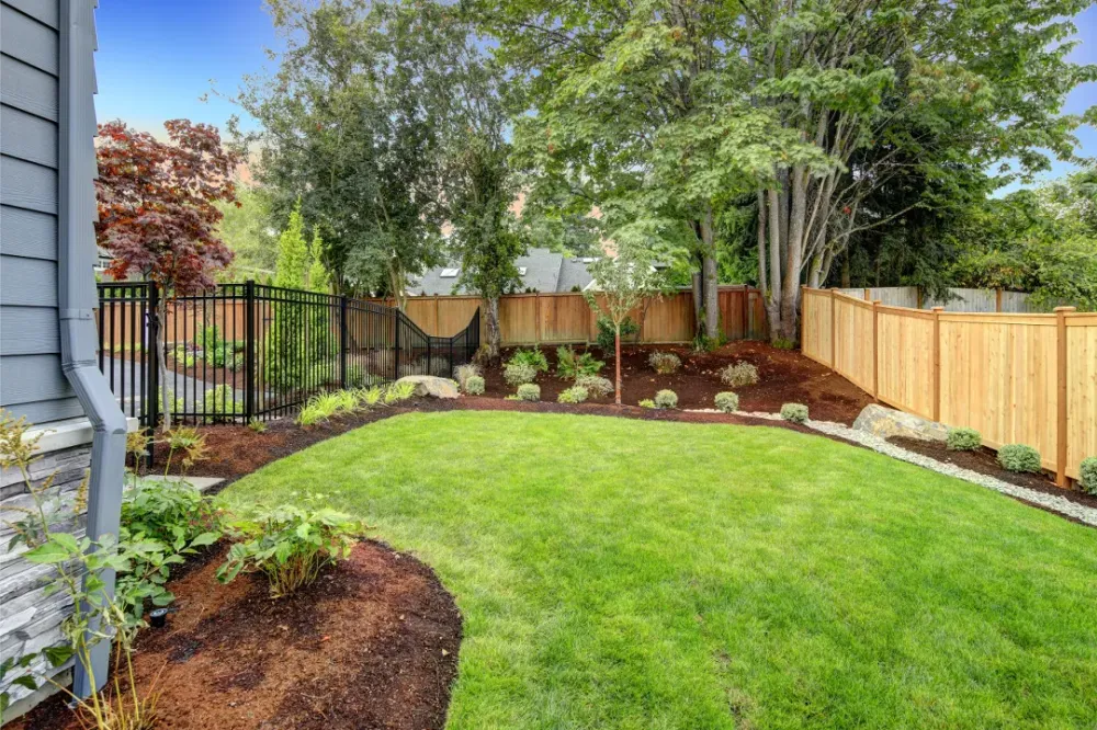 Jardin
